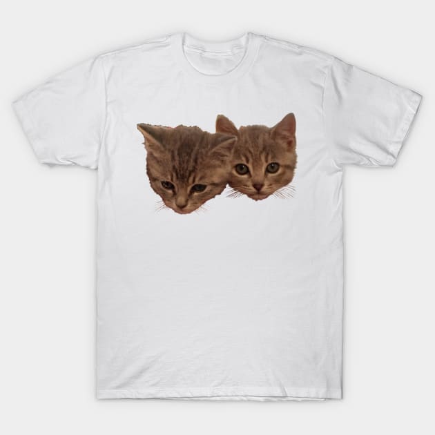 Baby Baxter and Jelly Bean - Cute Kittens T-Shirt by A2Gretchen